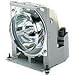 ViewSonic LCD projector lamp ( RLC-002 )