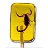 Scorpion Sucker- Banana