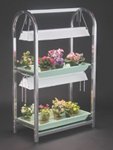 Value Line Stand - Two 24" 2-lamp Fixtures