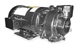 Dayton 2ZWR1 Pump, Centrifugal, 2 HP, 3 Ph, 230/460V