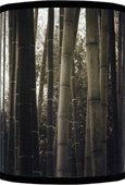 Bamboo Photo Lamp w/ nickel base