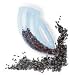 DROLL YANKEES Seed Scoop