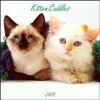 Kitten Cuddles 2009 Wall Calendar