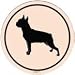 boston terrier - Boston Terrier Car Magnet2008