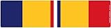 IMAGE OF Combat Action Service Ribbon Bar Mini Magnet