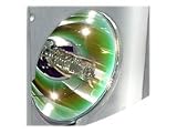 Acer - Lampe de projecteur - P-VIP - 180 Watt