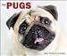 Just Pugs 2010 Desk Calendar