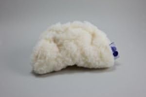 Purple Pebble ToyFC Fortune Cookie Dog Toy, 2 Pack