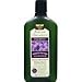 Avalon Organics Lavender Nourishing Shampoo , 11-Ounce Bottle (Pack of 3)