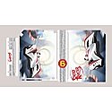 Wii Speed Racer Mach 6 Skin
