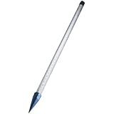 WATER SOURCE WPF-3680 2" x 36" Well Point