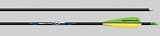 Easton Light Speed 400