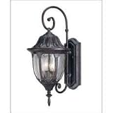 Savoy House Wall Mount Lantern with Bark/gld Finish