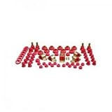 Prothane 1 2016 Red Total Kit 21j9nFXxPAL. SL160 Prothane 1 2016 Red Total Kit