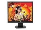 Produkt-Bild: V7 D1711B-E5 43 cm (17 Zoll) widescreen TFT Monitor (LCD, VGA, 5ms Reaktionszeit) schwarz