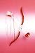 Cupid Bow And Arrow Set Adult (One Size)