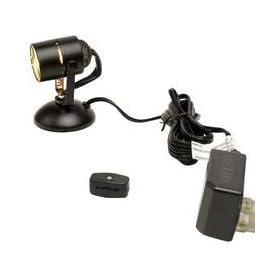 Lil Wonder Black Mini Spotlight by Tech Lighting