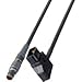 Laird Atomos DC Power Cable - PowerTap D to Lemo 2 Pin Male - 1Ft