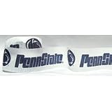 Penn State Nittany Lions Crepe Paper Streamer