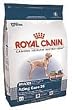 Royal Canin Maxi Mature Aging Care 26 Large Breed Dry Dog Food (30-lb bag)