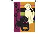 Labrador Friends