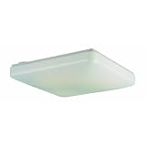 Buy Thomas Lighting FCS2232-EB Two-Light 14-3 4-Inch W by 3-1 4-Inch H Fluorescent... by Thomas Lighting