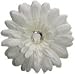 Flower Hair Clip White Daisy from Posies Accessories (White)