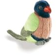 Rainbow Lorikeet with sound