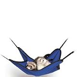 Ferret Hammock