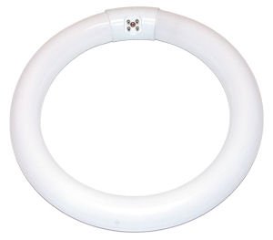 30 watt T9 4-Pin Base Circline Fluorescent Lights of America Light Bulb