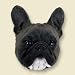 French Bulldog Doogie Head