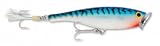 Fishing: Rapala Saltwater Skitter Pop