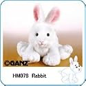 Webkinz Rabbit & Lil Kinz Rabbit Set