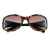 EvolutionEyes Multi Brown Frame W/ Gradient Brown Bifocal Sunreader Lens +2.50, 1 pr