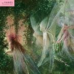 Fairies 2009 Wall Calendar