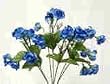 Mini Rose Bush-Blue
