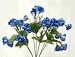 Mini Rose Bush-Blue