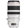 Canon EF 28-300mm/1:3,5-5,6 L IS USM Objektiv (77 mm Filtergewinde, bildstabilisiert)