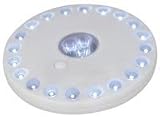 Mercury 23 LED Light