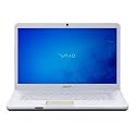 Sony VAIO VGN-NW120J/S 15.5-Inch Laptop - Silver