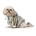 Go For It Racer Stripe Jacket for Dogs by DC