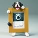Bernese Mountain Dog - 2.5x3.5 Photo Frame