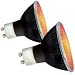 Reptile Nightlight Black Halogen Bulb - 75W - 2 pk.