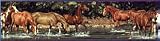 Wild Horses Peel & Stick Border