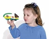 Butterfly Feeder