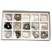 Introductory Rock Collection