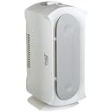 Hamilton Beach 04383 True Air Allergen-Reducing Air Cleaner