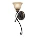 1 Light Wall Sconce