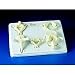 Vertebrae Model