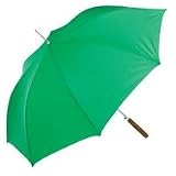All-WeatherA 48 Auto Open Umbrella